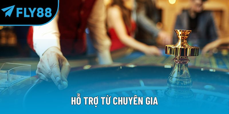 Hỗ trợ từ chuyên gia