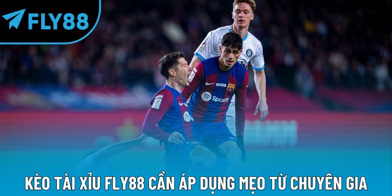 Kèo tài xỉu Fly88 cần áp dụng mẹo từ chuyên gia