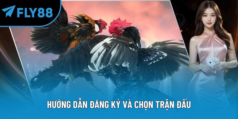 Hướng dẫn đăng ký và chọn trận đấu
